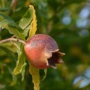 산촌경로당 이미지