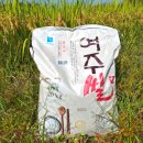 진상미로 이미지