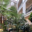 11620-0-61-2 | 아이들과 가기 좋은 동두천대형카페, 베이커리 카페 하패리 61 +키즈존있음