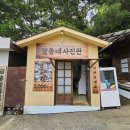 꿈애게스트하우스 | 경주 가볼 만한 곳 추억의달동네 달고나 귀신의 집 인생네컷도 있음