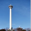 용두산공원 Daum카페
