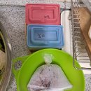 군산박대