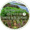 거제양어