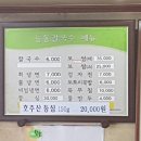 능동국시 티스토리