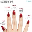 손톱모양