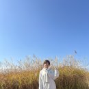 아나나스맨션