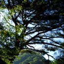 대성민박 이미지