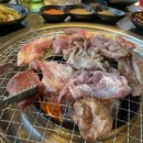 돈오돌갈비