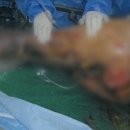 대원상사 이미지