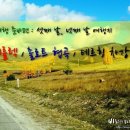 양사낚시터 | 몽골여행 준비편 10 - 체체를렉 / 촐로트 협곡 / 테르힝 차강 호수 국립공원 정보