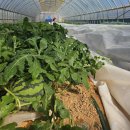 전라북도 농업기술원 이미지