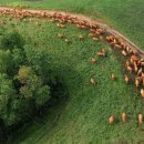 만길목장 이미지