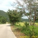 함백여자고등학교 이미지