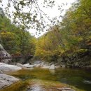 오대산늘벗 이미지