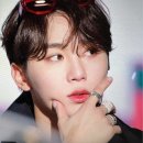 캐럿됨 이미지