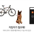 코너스톤주