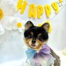 로고스 동물병원 이미지