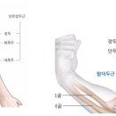 트윈PT 이미지