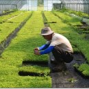 원우농장 이미지