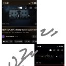 유르르 - 강남구 봉은사로11길 21 | 유르르