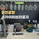 인천공항 스카이허브라운지 가격 위치 동편 서편 정보 탑승동 후기