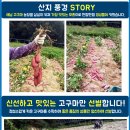 효정농장(2) 이미지