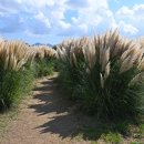 강변공원주차장 이미지