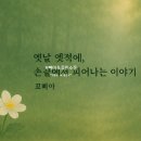 꼬삐아
