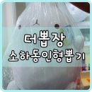 뽑기샵# 이미지