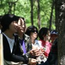 수리산 산림욕장 이미지