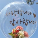 미꼬미꼬