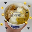 요거트월드순천 | [순천/카페] 순천요거트아이스크림 '허니월드' 후기 [요거트월드 순천오천점]