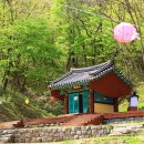 건봉사가는길 이미지