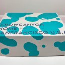 레드플레이트 | Crow Canyon] 크로우캐년 스파클 후기 스칼렛레드오어키드 파이플레이트&amp;머그 - 레드+핑크 조합 칭챤해~!!!