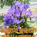 풀각시소바앤카츠 내돈내산 후기