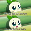 술토리
