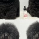 라니펫