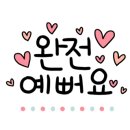 로저언니