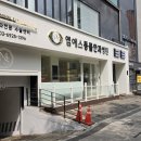 8살 강아지 안과검진 후기 노령견 눈 건강검진 언제부터? 강남동물병원 엠에스동물안과병원 방문기