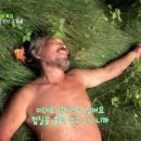 자연인