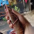 은봉로 60번길 이미지