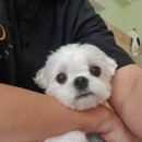 개도만족 네이버블로그