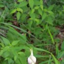 태화산파크 이미지