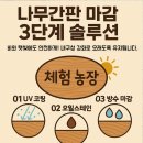 나무와꿈어린이집 | 용도별 맞춤 디자인 나무간판 제작 심층 후기