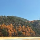 솜 글래스 | 정선 파크로쉬 리조트앤웰니스 | 숙암 트윈룸 웰니스프로그램 신청 방법 글라스하우스 내돈내산 후기