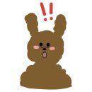 펫사랑 동물병원 이미지