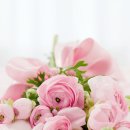 나만의 힐링 향수 만들기 이미지