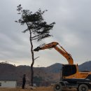 소나무회관 이미지