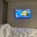 하운드 송정 이미지