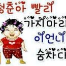 헬로바이 이미지